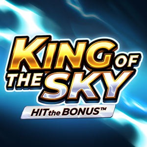 King Of The Sky game cover